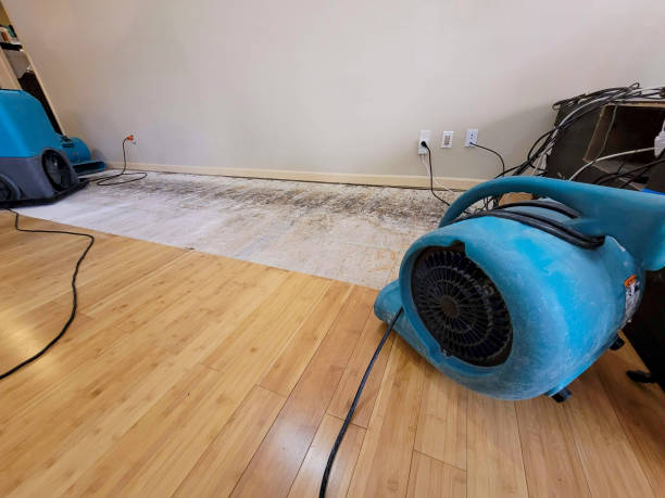 Professional Sewage Cleanup technician working in New Castle, PA